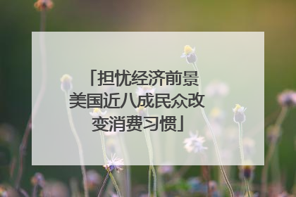 担忧经济前景 美国近八成民众改变消费习惯